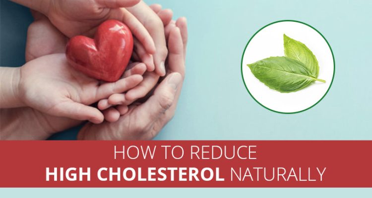 How to Prevent and Manage High Cholesterol How to Prevent and Manage High Cholesterol